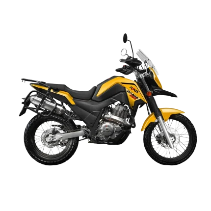 goose 1 new yellow.png